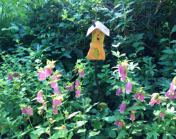 Columbine Garden